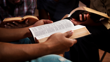 person holding Bible in hands